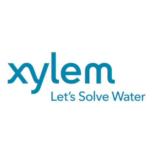 Xylem